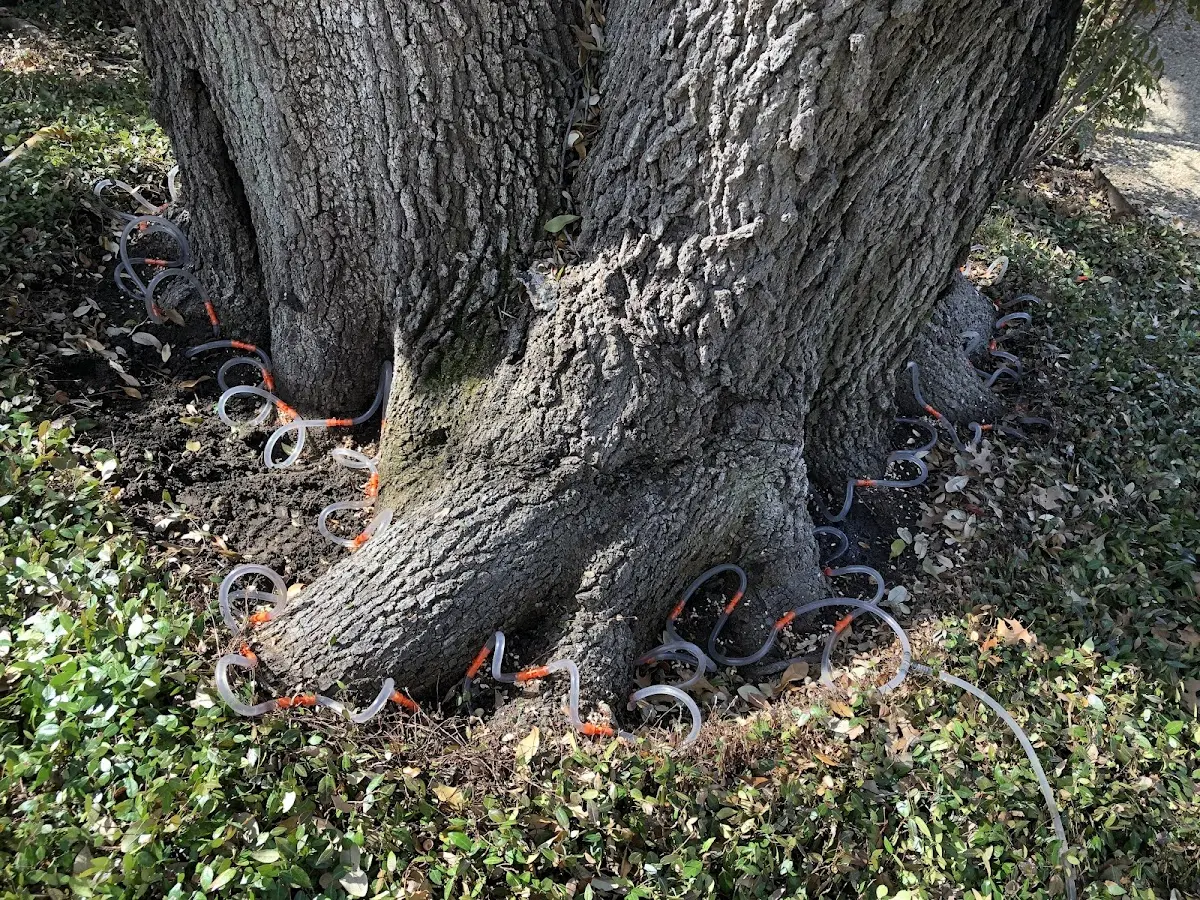 Detailed Shrub and Hedge Trimming job site in West Bend